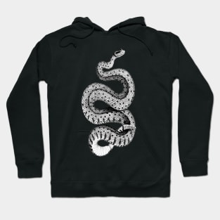 Horned Rattle snake Hoodie